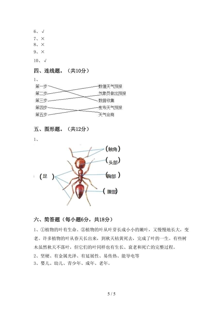 2021年苏教版三年级科学上册第一次月考试卷一_第5页