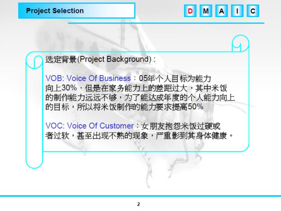 六西格玛经典案例(怎样煮米饭)（PPT33页)_第2页