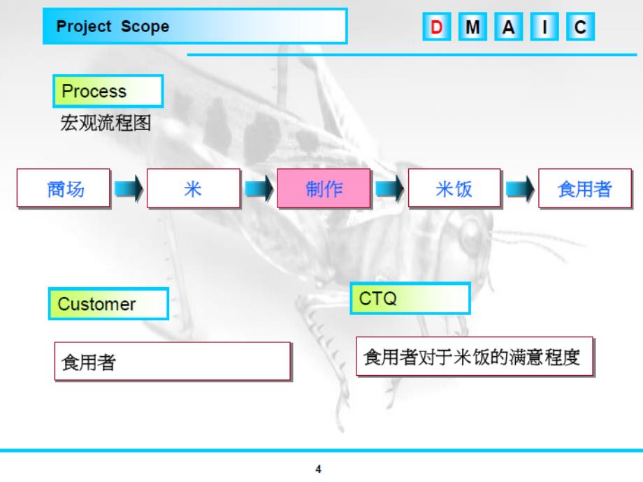 六西格玛经典案例(怎样煮米饭)（PPT33页)_第4页