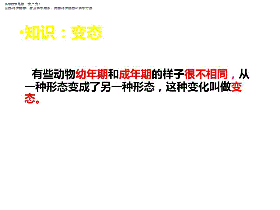 三年级下册科学课件-《其他动物的生命周期》教科版共8张PPT_第3页