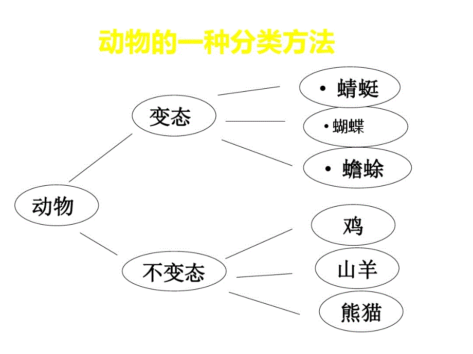 三年级下册科学课件-《其他动物的生命周期》教科版共8张PPT_第4页