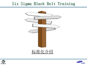 SIXSIGMA黑色的带子训练