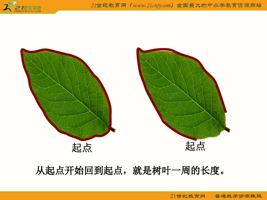 三年级数学上册(北师大版)：什么是周长精品PPT课件_第3页