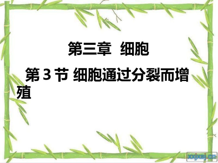 上生物33细胞通过分裂而增殖黄喜玲、李娟演示课件_第1页