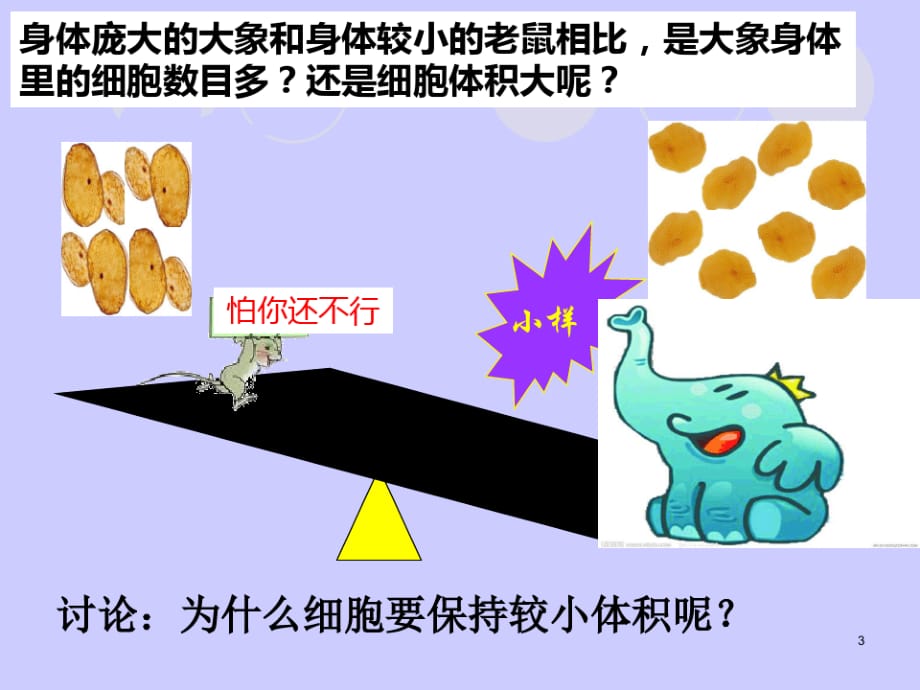 上生物33细胞通过分裂而增殖黄喜玲、李娟演示课件_第3页