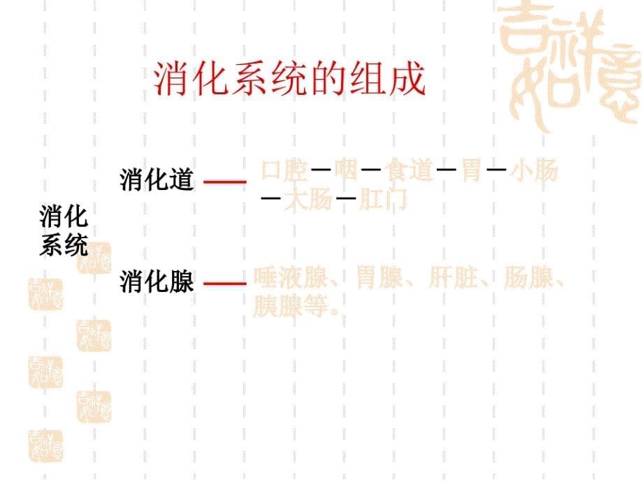 初中七年级(初一)生物课件 消化吸收_第5页