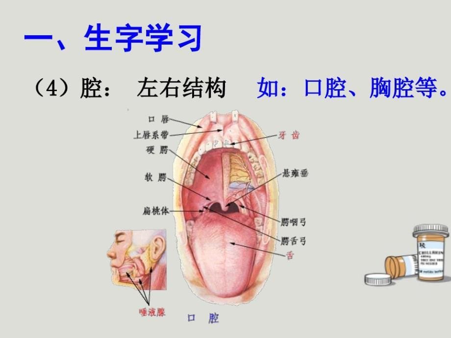 《陈毅戒烟》课文一PPT课件_第5页