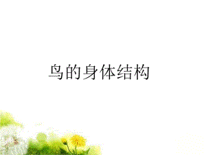 《鸟的身体结构》1PPT课件