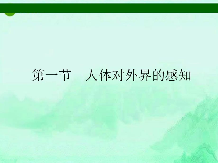 七年级生物下册 人体对外界的感觉 眼和视觉课件 人教新课标版._第3页