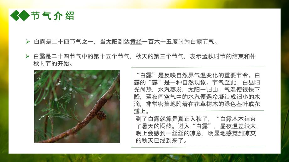 创意简约小清新中国传统二十四节气白露通用教学定制课件PPT_第4页