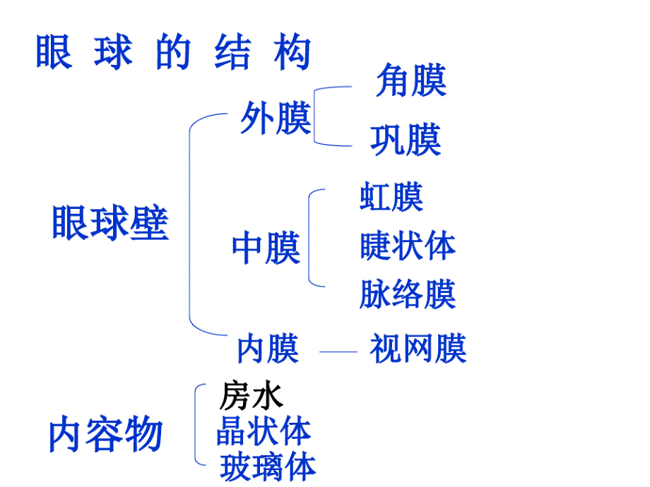 人体对周围世界的感知----眼球的结构及视觉的形成._第3页