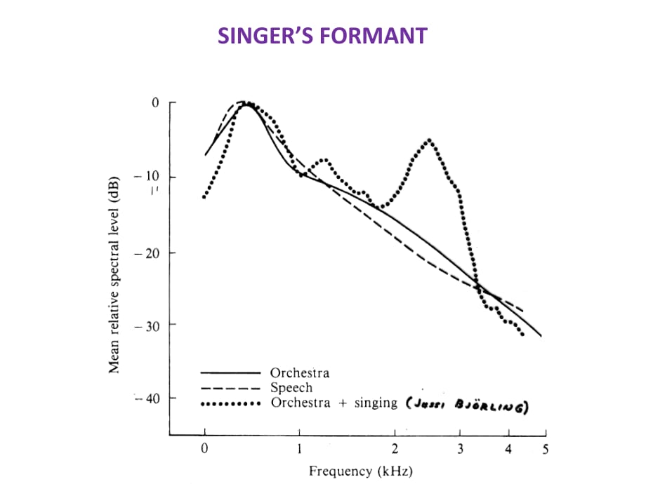 SINGINGCHOIRSINGINGHARMONICSINGINGPOP_第3页