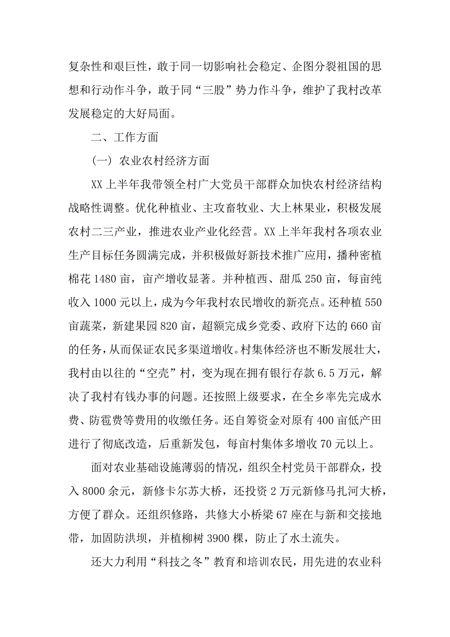 村副书记年终总结（word模板）._第3页