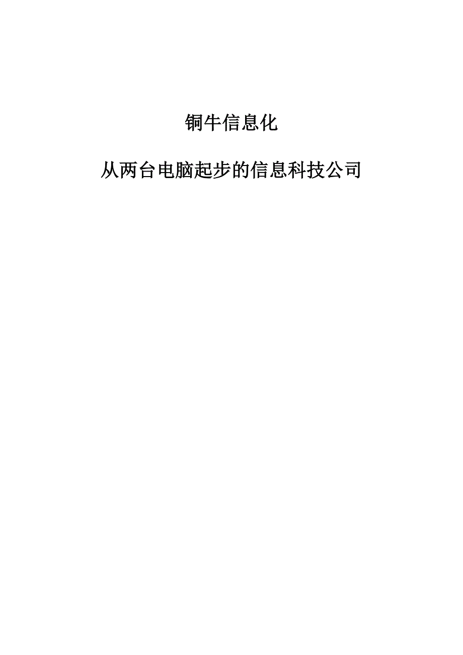 铜牛信息化：从两台电脑起步的信息科技公司_第1页