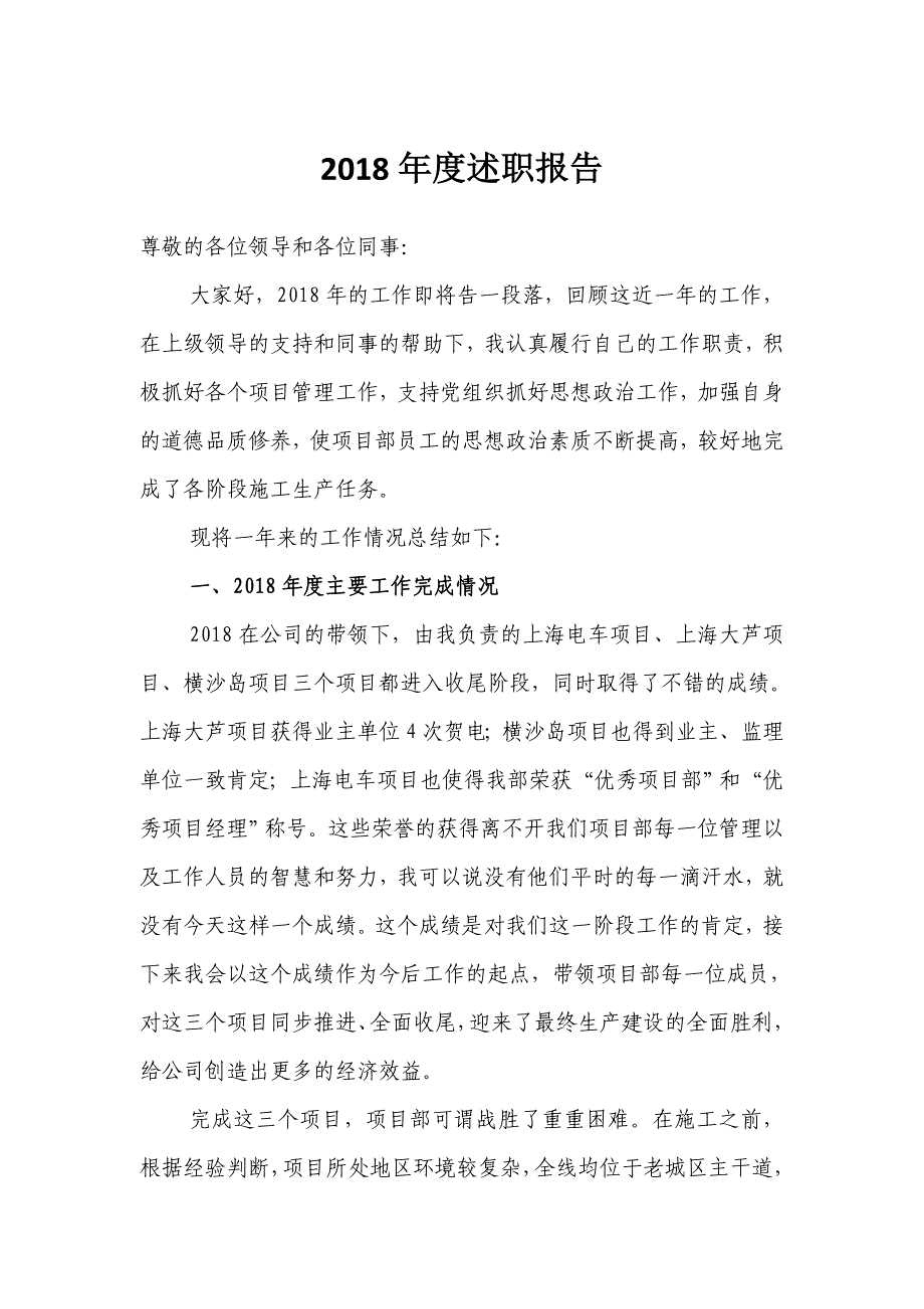 项目建设党组织负责人年度述职述廉报告_第1页