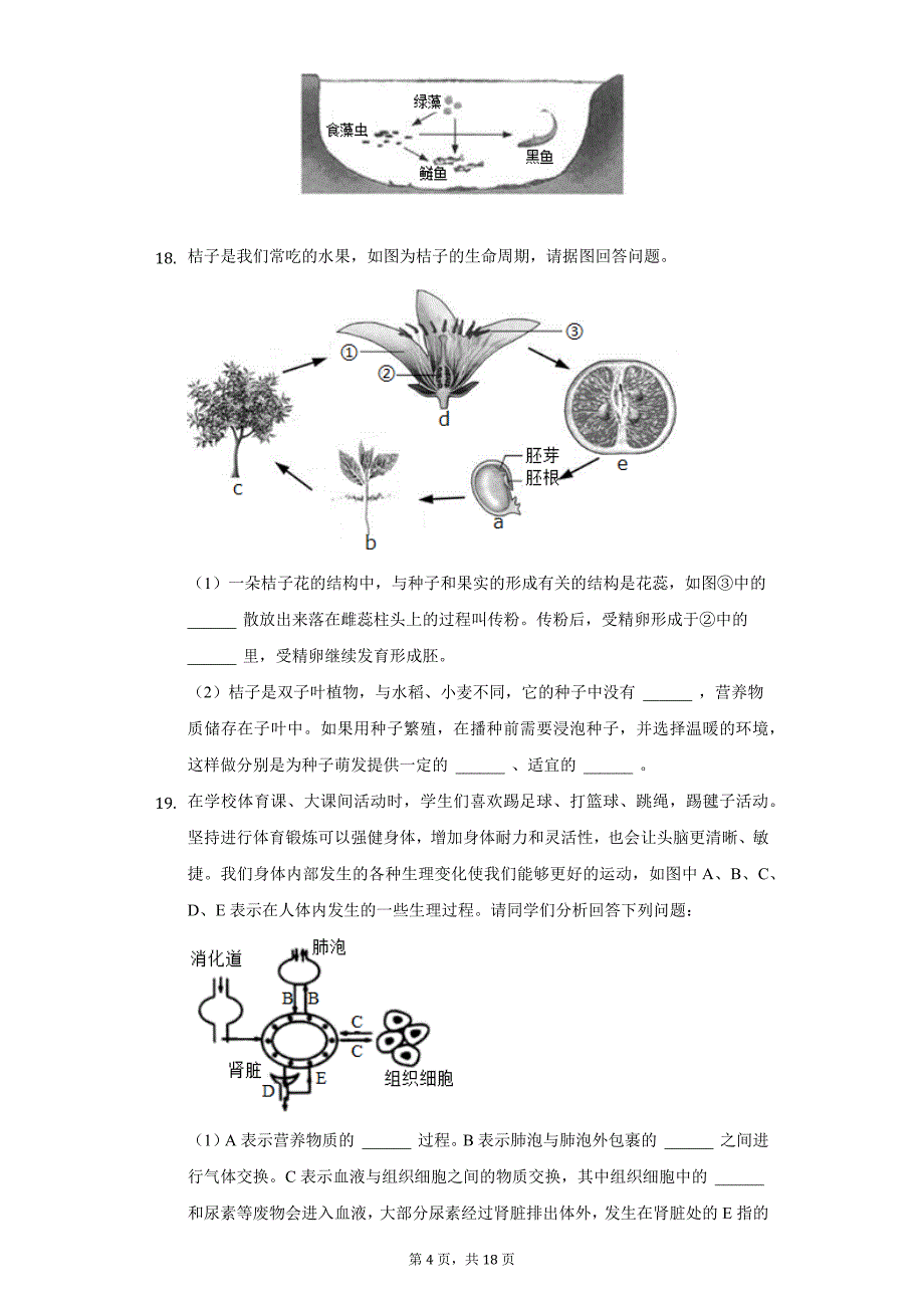 2021年辽宁省营口市中考生物一模试卷（附答案详解）_第4页