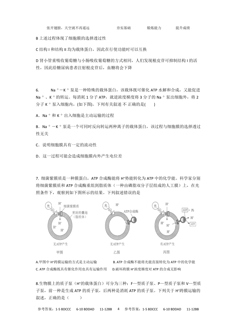 高考专题复习：离子泵、H—ATP酶和协同转运_第4页