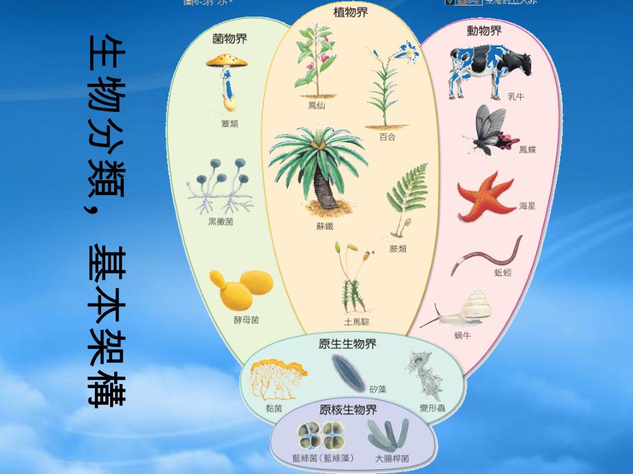 [精选]如何准备生物基测_第4页