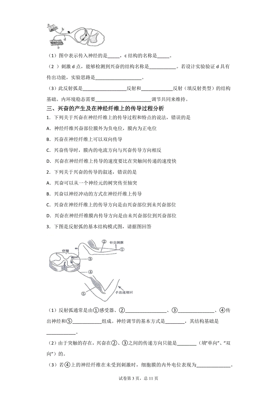 2022届高考生物一轮复习：第二十五讲 通过神经系统的调节 分点训练及答案_第3页