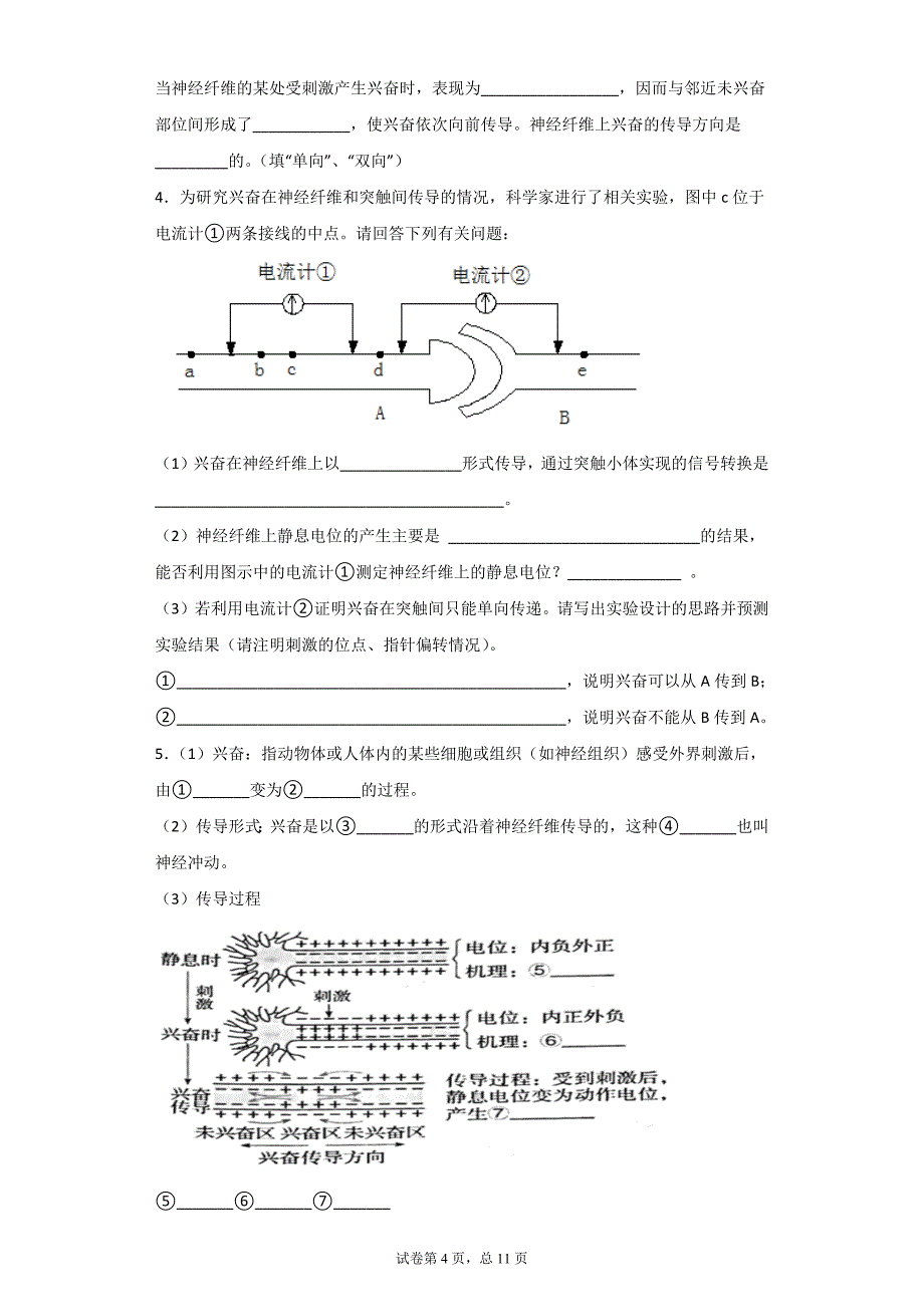 2022届高考生物一轮复习：第二十五讲 通过神经系统的调节 分点训练及答案_第4页