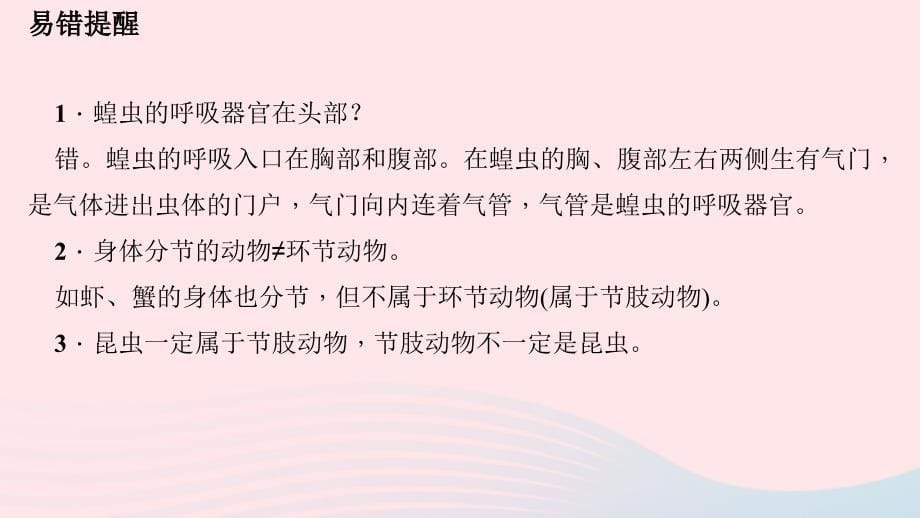 经典版八年级生物上册第五单元第一章第三节软体动物和节肢动物（第2课时节肢动物）习题课件（新）新人教经典_第5页