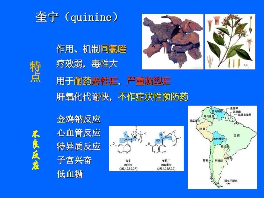 药理学ppt课件 化疗药理6_第5页