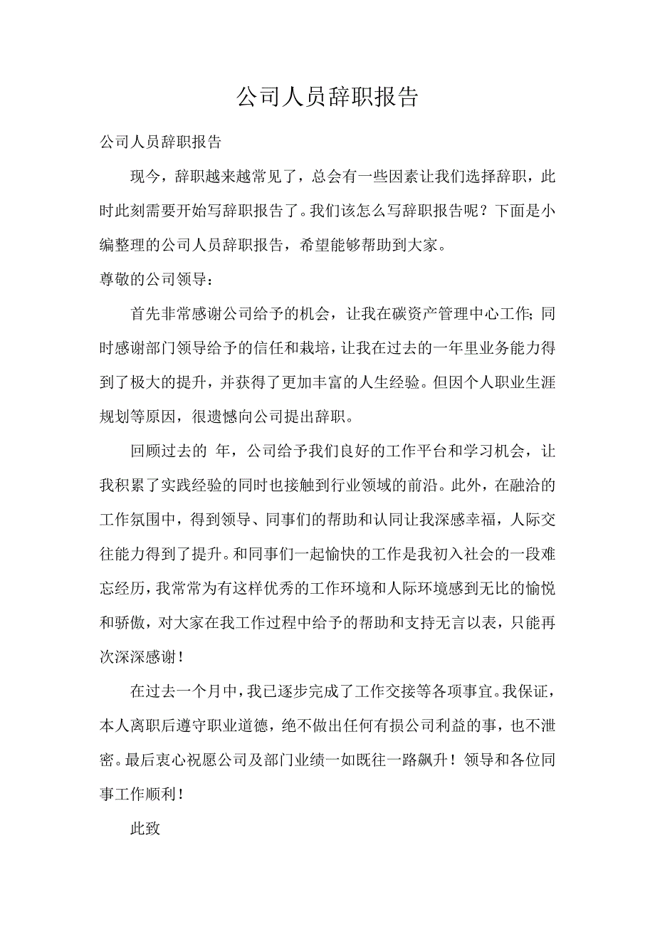 公司人员辞职报告_第1页