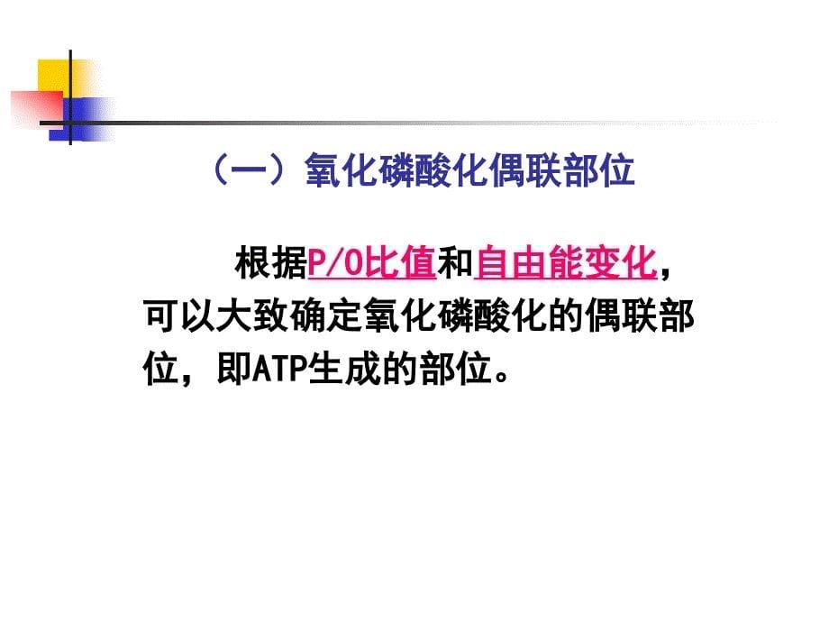 生物化学与分子生物学课件 生物氧化-第2次_第5页