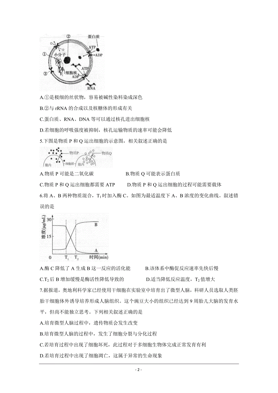 河南省非凡吉创2020-2021学年高一下学期五月调研卷生物Word版含解析_第2页