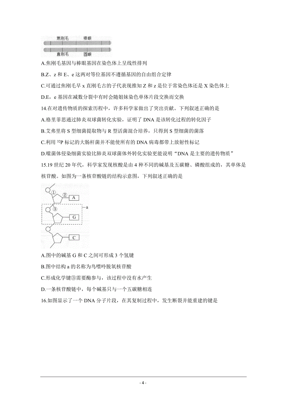 河南省非凡吉创2020-2021学年高一下学期五月调研卷生物Word版含解析_第4页