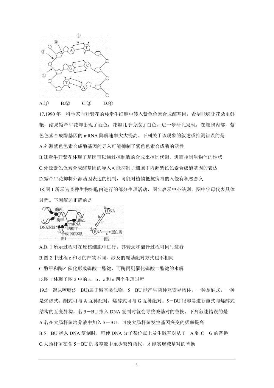 河南省非凡吉创2020-2021学年高一下学期五月调研卷生物Word版含解析_第5页