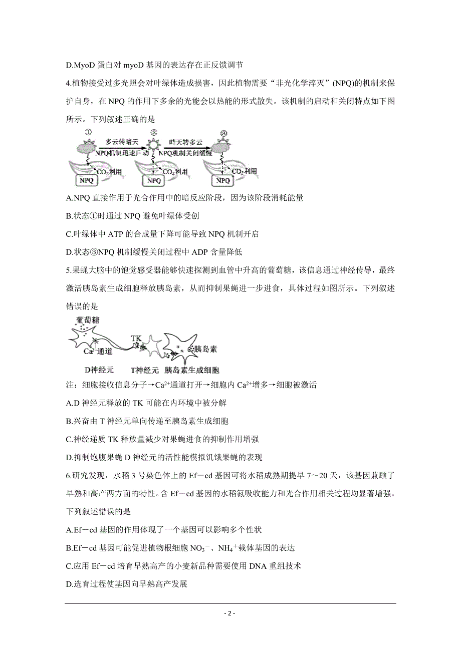 山东省济宁市2021届高三下学期5月第二次模拟考试 生物 Word版含答案_第2页