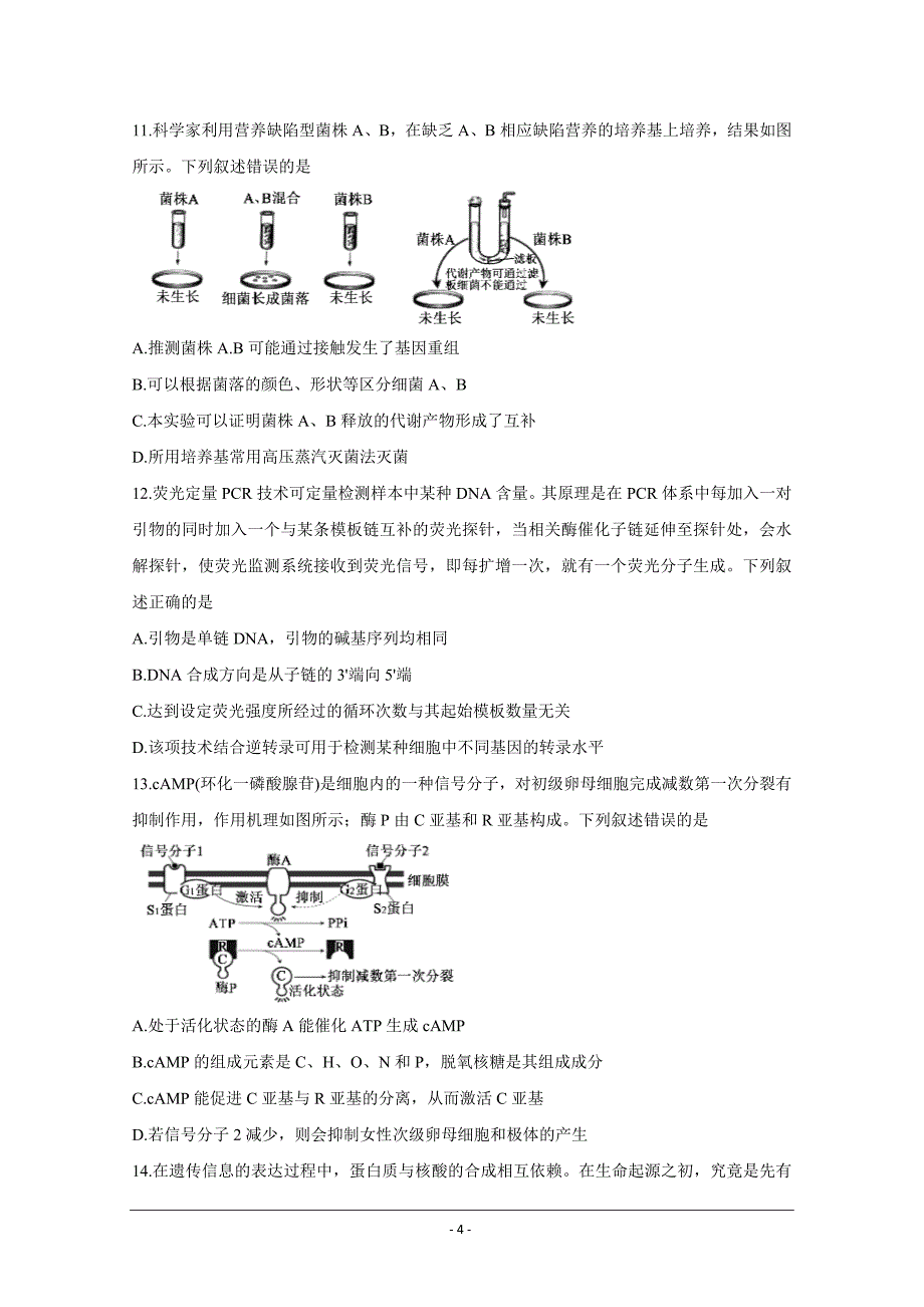 山东省济宁市2021届高三下学期5月第二次模拟考试 生物 Word版含答案_第4页