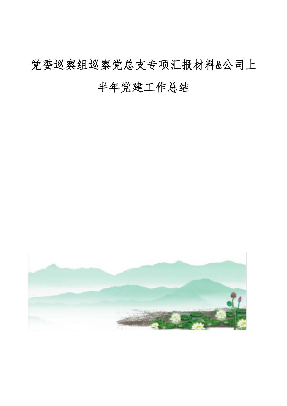 党委巡察组巡察党总支专项汇报材料公司上半年党建工作总结_第1页