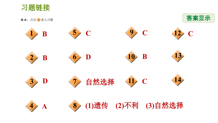 华师版九年级下册科学课件 第2章 2.3 生物进化_第2页