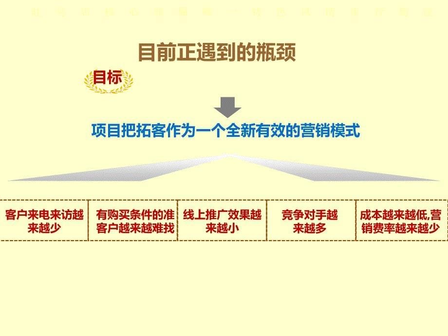 房地产营销策划 - 商业地产项目拓客执行方案_第5页