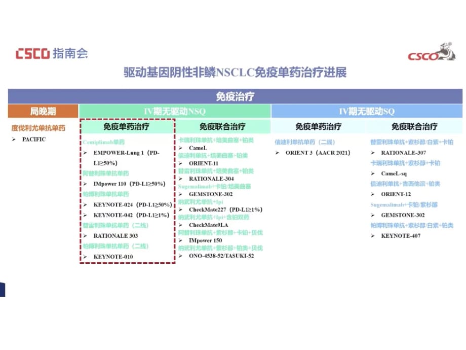 2021CSCO指南更新--局晚期及驱动基因阴性NSCLC治疗进展_第5页