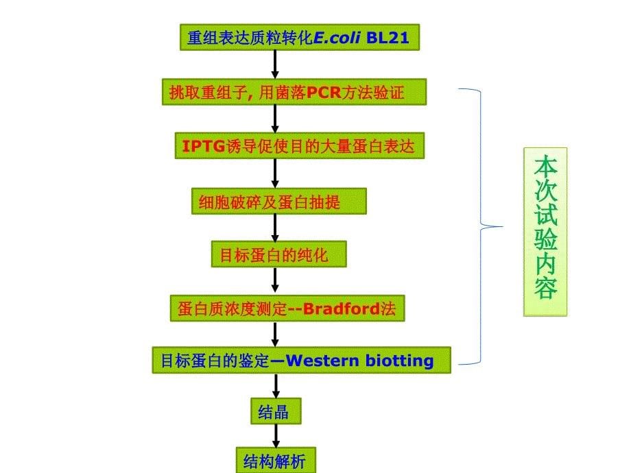 生化分离工程实验课件_第5页