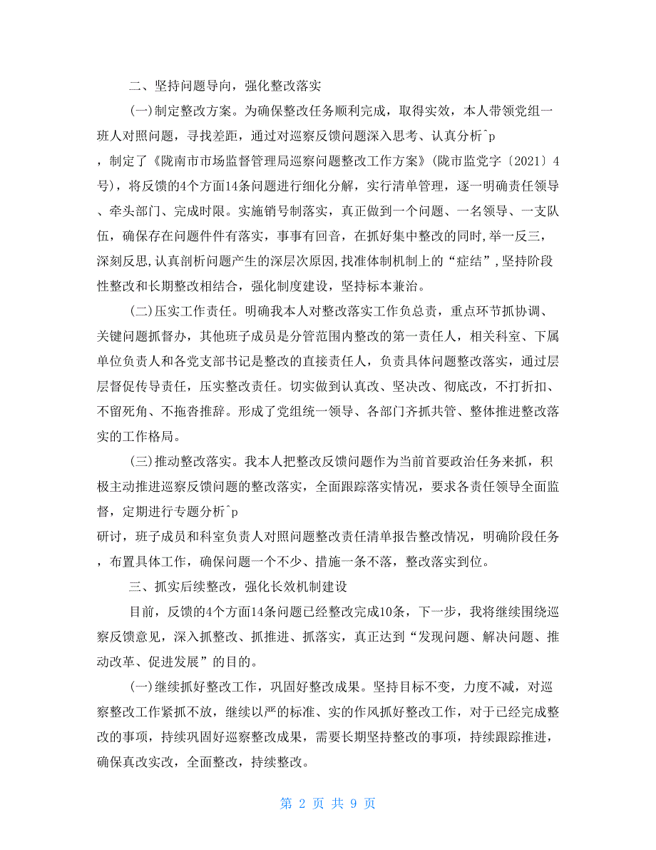 2021年主要负责人组织落实巡察反馈意见整改2021汇总_第2页