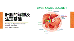 消化系统解剖及生理基础--肝胆