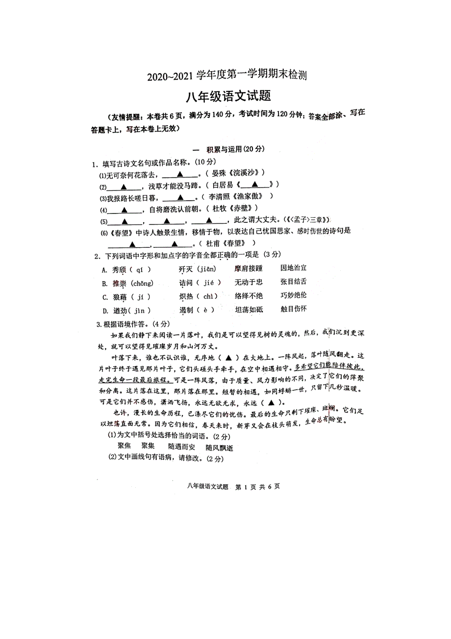 江苏省徐州市2020-2021学年八年级上学期期末检测级语文试题_第1页