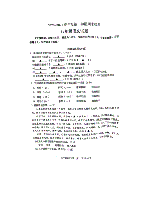 江苏省徐州市2020-2021学年八年级上学期期末检测级语文试题