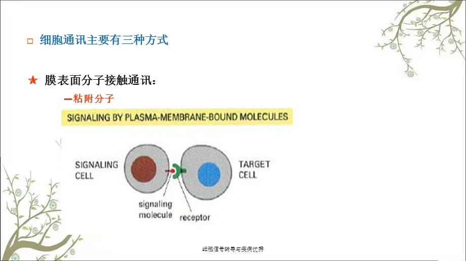 细胞信号转导与疾病优秀_第5页