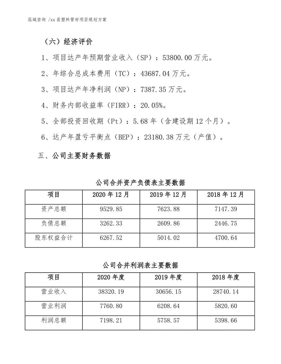 xx县塑料管材项目规划（模板范文）_第5页