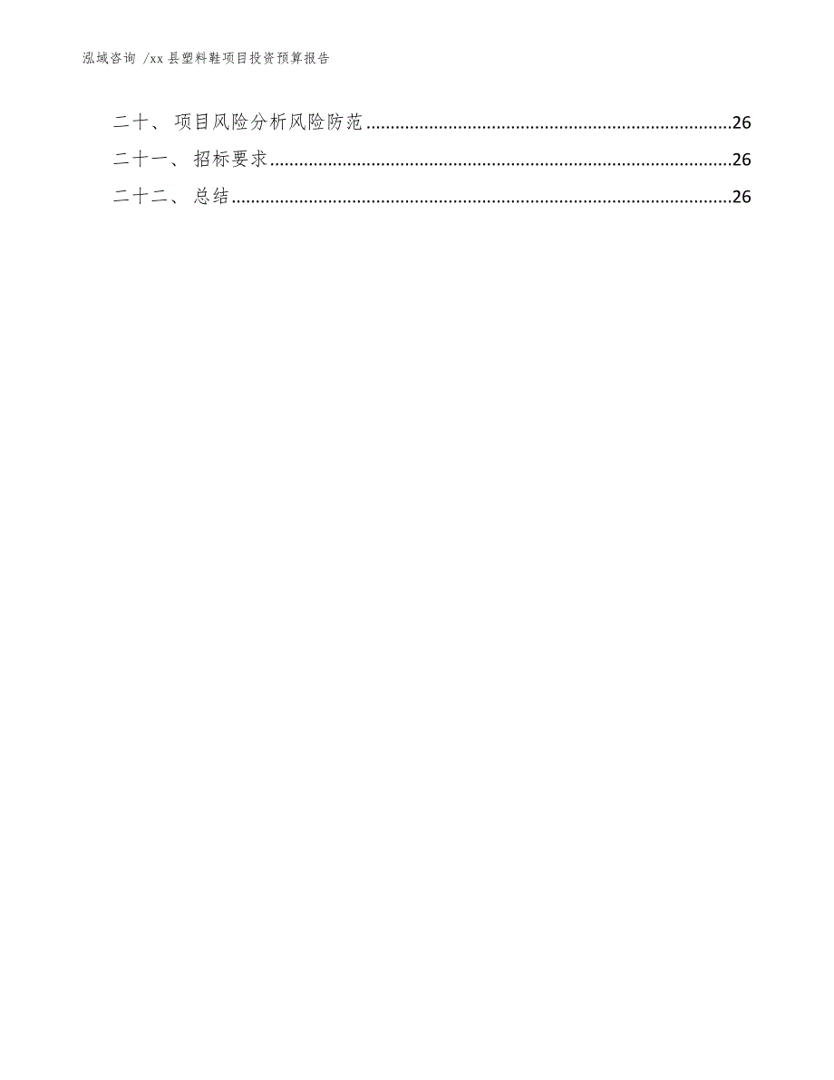 xx县塑料鞋项目投资预算报告（模板参考）_第3页