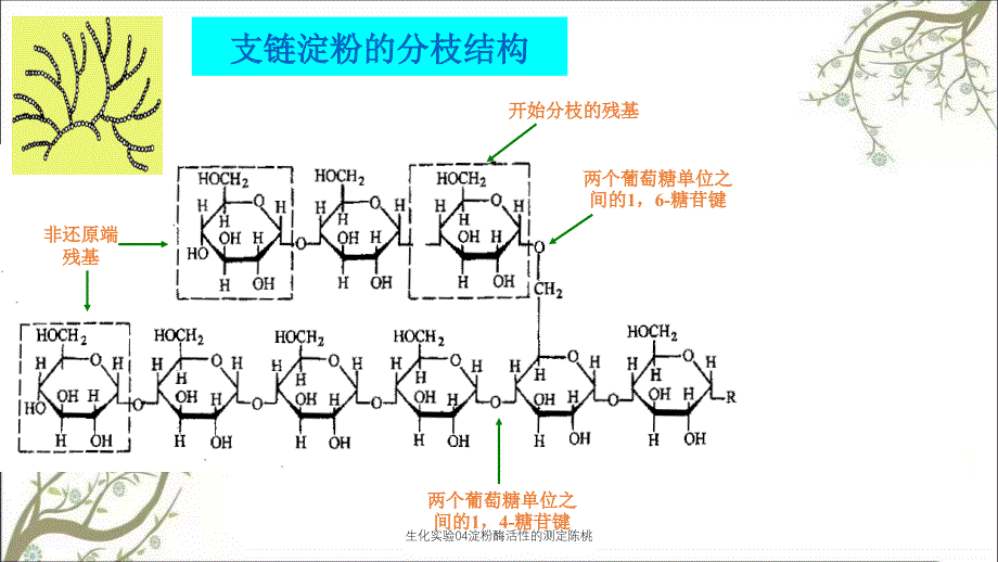 生化实验04淀粉酶活性的测定陈桃_第3页