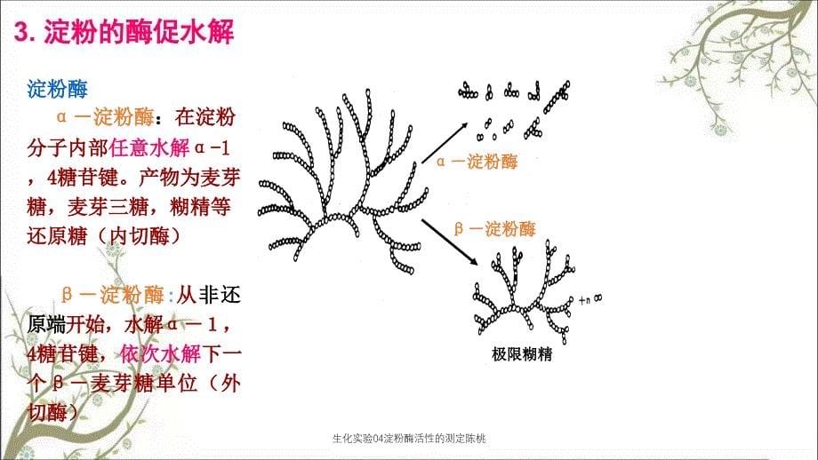 生化实验04淀粉酶活性的测定陈桃_第5页