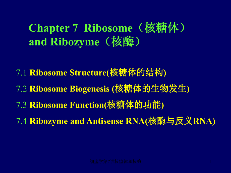 细胞学第7讲核糖体和核酶_第1页