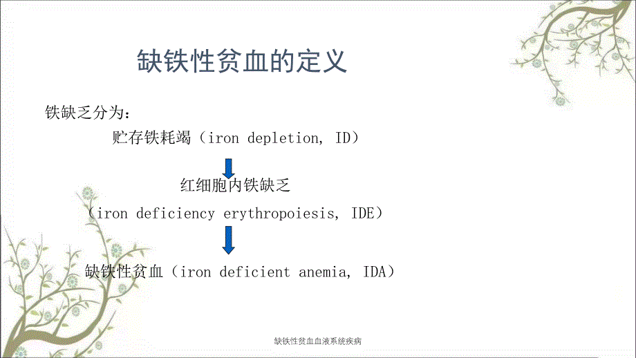 缺铁性贫血血液系统疾病_第2页