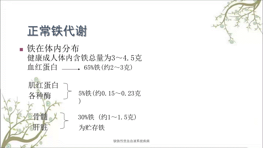 缺铁性贫血血液系统疾病_第4页